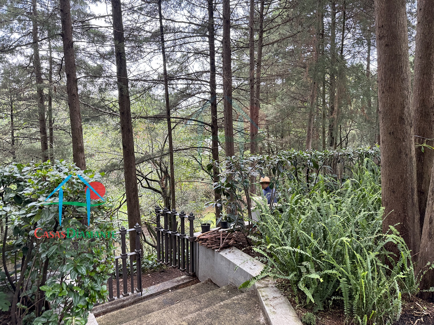 Rancho San Francisco Casa Encino - Jardín 24